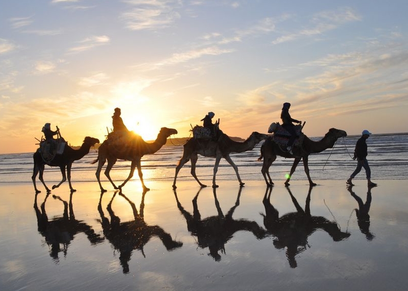 paseo en camello essaouira